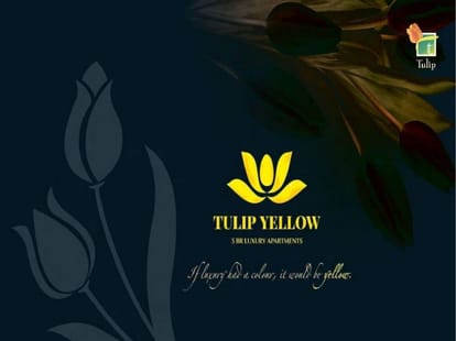 Tulip Yellow Brochure Image 1