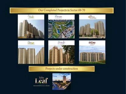 Tulip Yellow Brochure Image 3