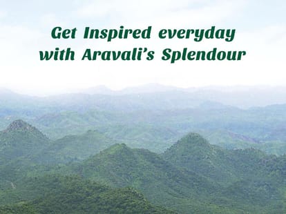 Mapsko Mount Ville Brochure Image 2