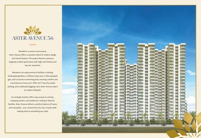 4S Aster Avenue 36 Brochure Image 3