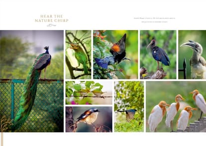 Anant Raj The Estate Residences Brochure Image 2