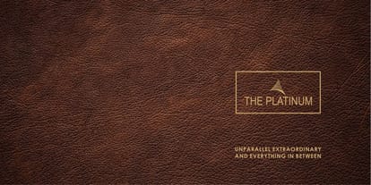 The Platinum Brochure Image 2