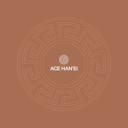 Ace Hanei Brochure Image 1