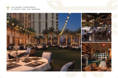 Ace Terra Brochure Image 17