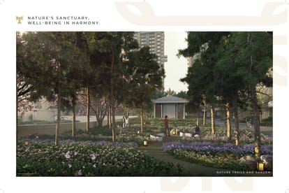 Ace Terra Brochure Image 14