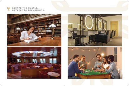 Ace Terra Brochure Image 18