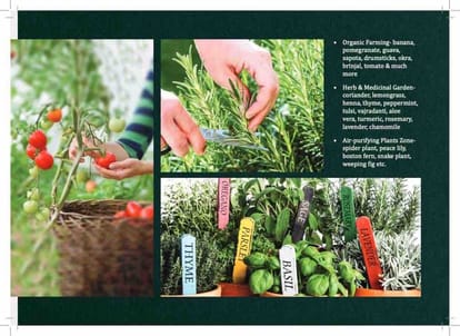 ATS Kingston Heath Brochure Image 11