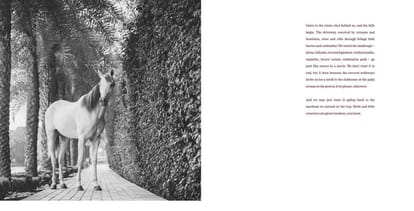 ATS Knightsbridge Brochure Image 3