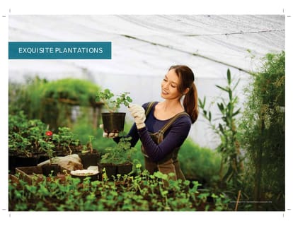 Godrej Palm Retreat Brochure Image 38