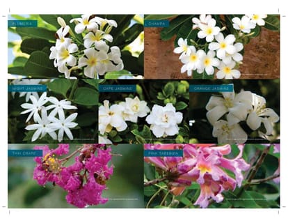 Godrej Palm Retreat Brochure Image 40