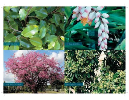 Godrej Palm Retreat Brochure Image 39