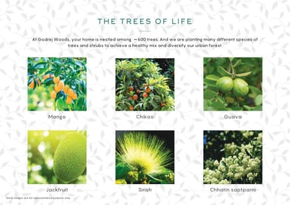 Godrej Woods Brochure Image 43