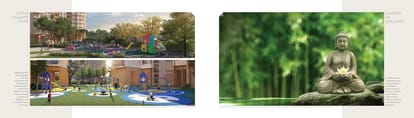 Ivory County Brochure Image 11