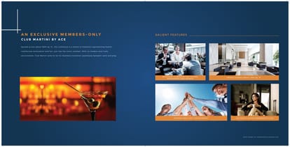 ACE 153 Brochure Image 13