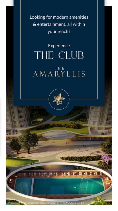 The Amaryllis 4 Brochure Image 22