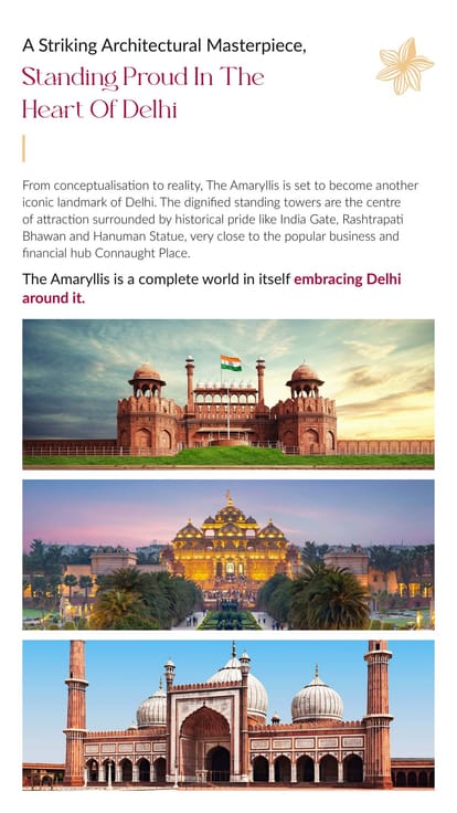 The Amaryllis 4 Brochure Image 6
