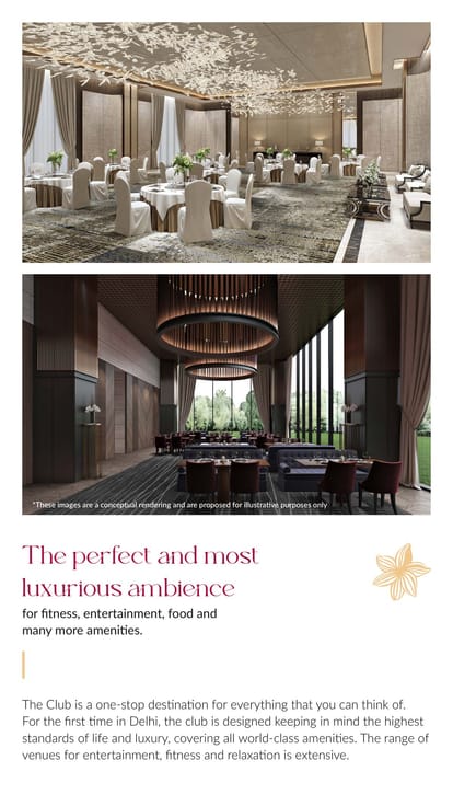 The Amaryllis 4 Brochure Image 24