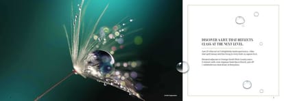Prestige Dew Drops Brochure Image 2
