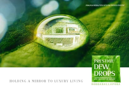 Prestige Dew Drops Brochure Image 1
