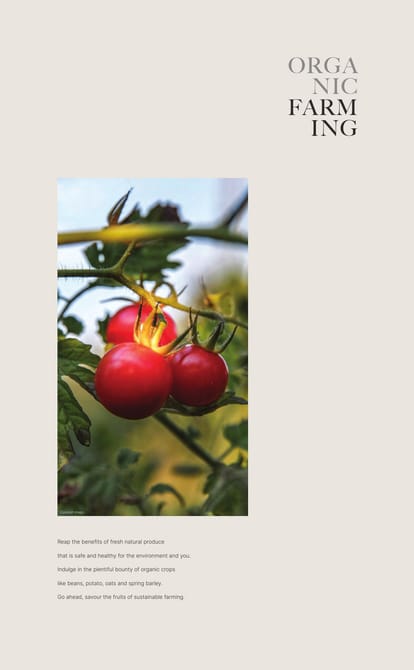 Sobha Windsor Brochure Image 13