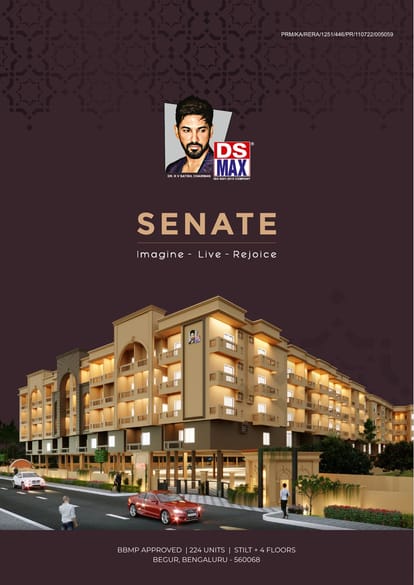 DS Max Senate Brochure Image 1