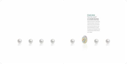 Merlin Identity Brochure Image 5