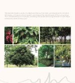 Assetz 66 And Shibui Brochure Image 19