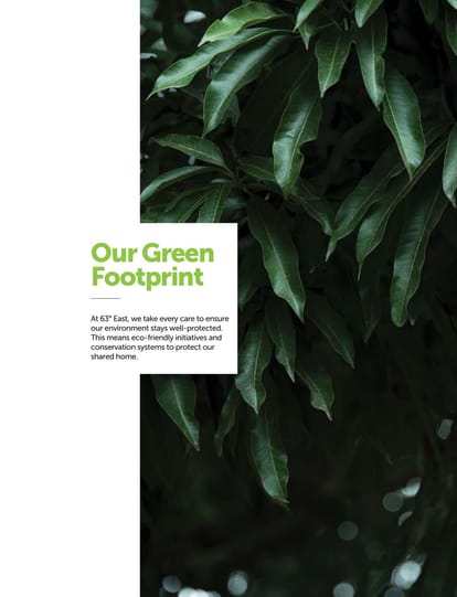 Assetz 63 Degree East Brochure Image 22