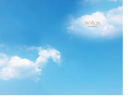 Appaswamy Skylon Brochure Image 2