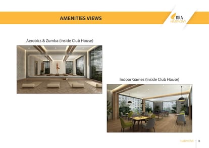 DRA Harmony Brochure Image 12