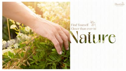 Destino Brochure Image 3