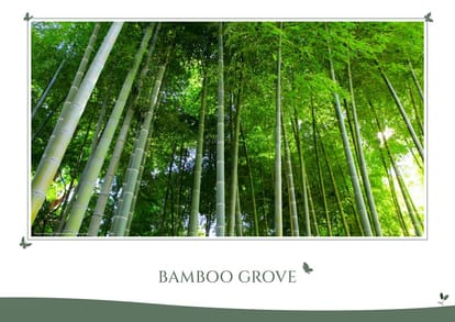 TVS Emerald Udyana Brochure Image 56