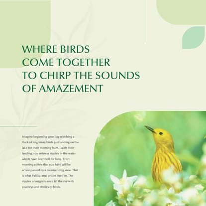 Purva Windermere Brochure Image 11