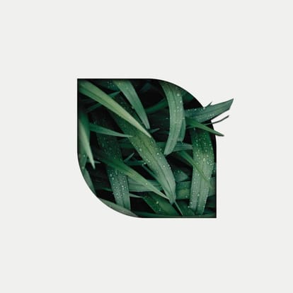 Park 63 Brochure Image 5