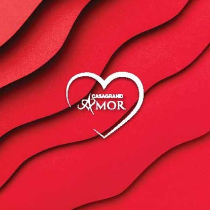 Casagrand Amor Brochure Image 1