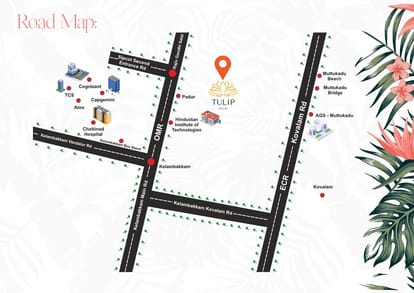 MGP Tulip Brochure Image 27