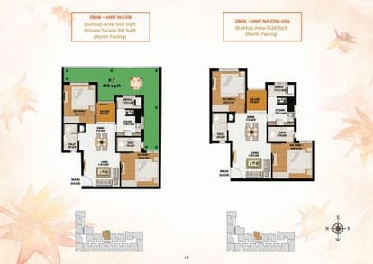 VGK Summer Garden Brochure Image 22