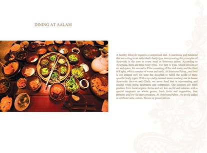 Steps Stone Aalam Villa Brochure Image 22