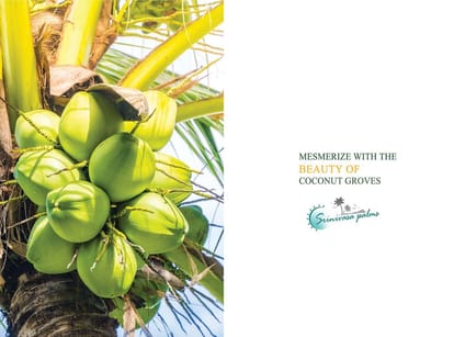 Steps Stone Aalam Villa Brochure Image 6