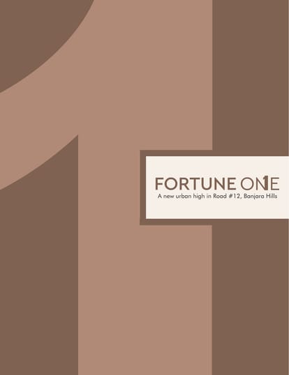 DSR Fortune One Brochure Image 1