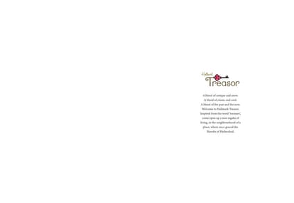 Hallmark Treasor Brochure Image 2
