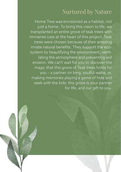 Manbhum Home Tree Brochure Image 5