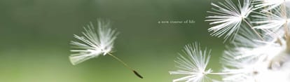Belani Sanctuary Brochure Image 2