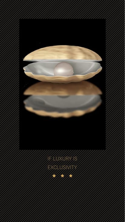 SAS Crown Brochure Image 3