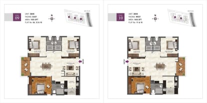 Ira The Miracle Brochure Image 21