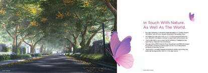 Provident Botanico Brochure Image 7