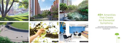 Provident Botanico Brochure Image 10