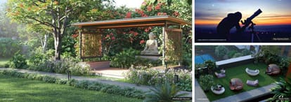 Provident Botanico Brochure Image 16