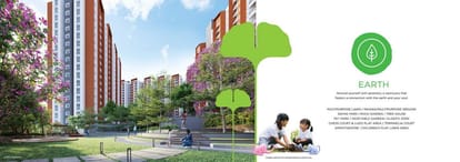 Provident Botanico Brochure Image 19