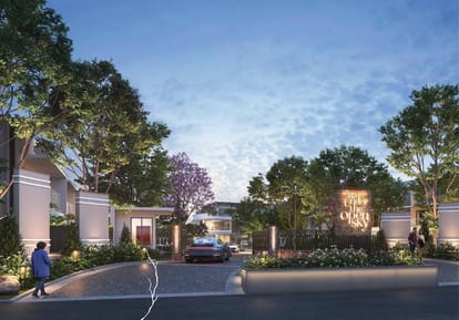 NVT Under The Open Sky Brochure Image 6